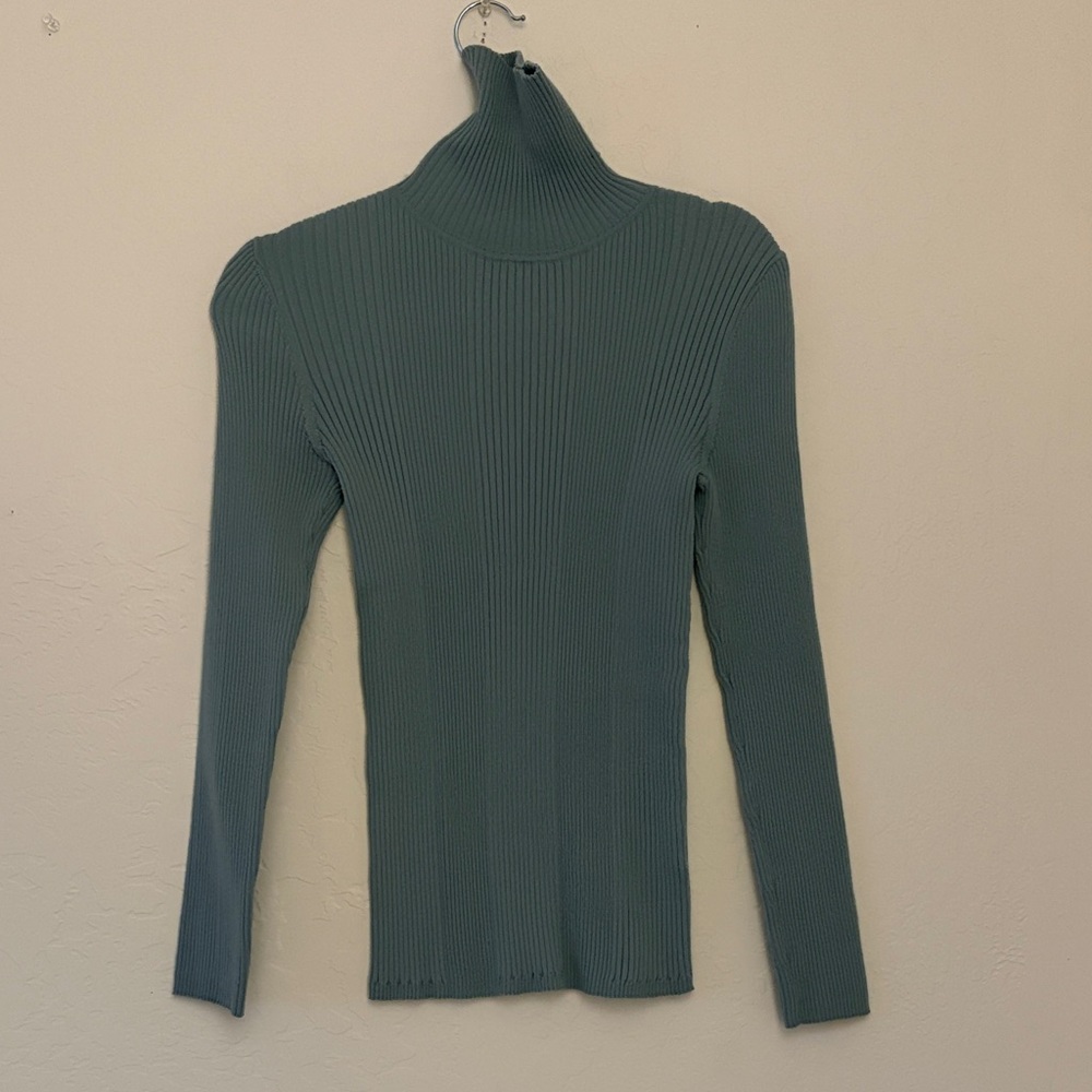 Title Nine Turtleneck